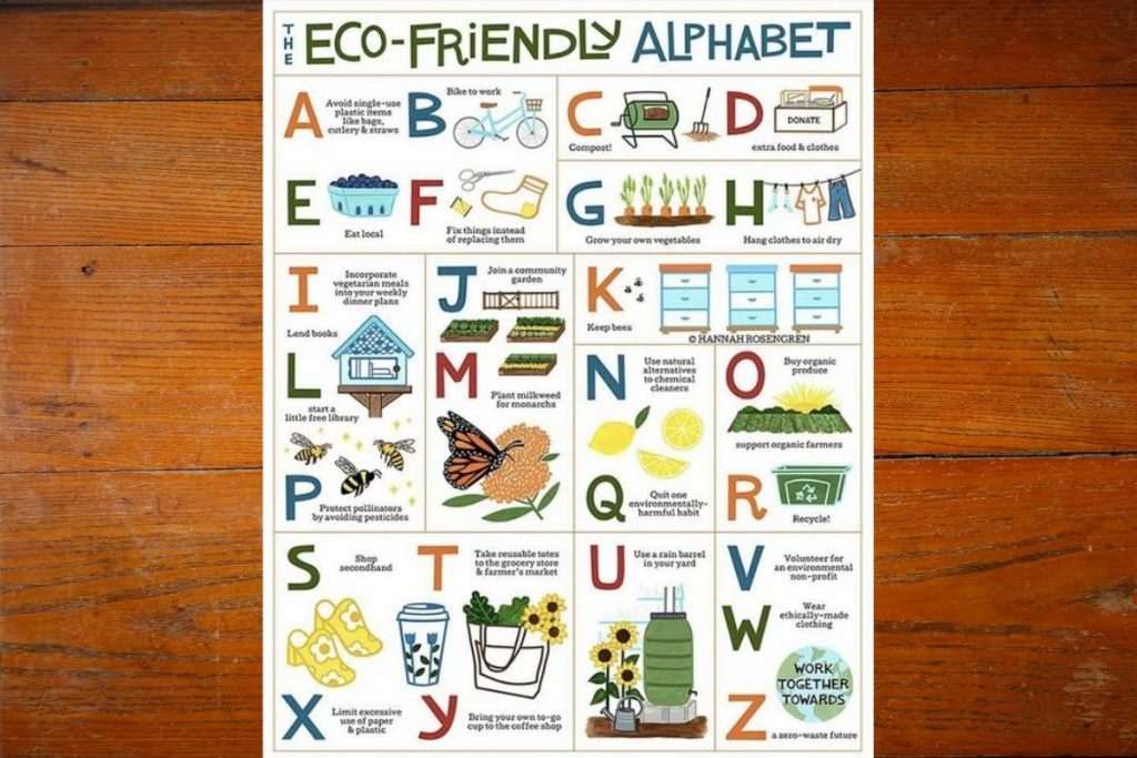 the-eco-friendly-alphabets-carragreen